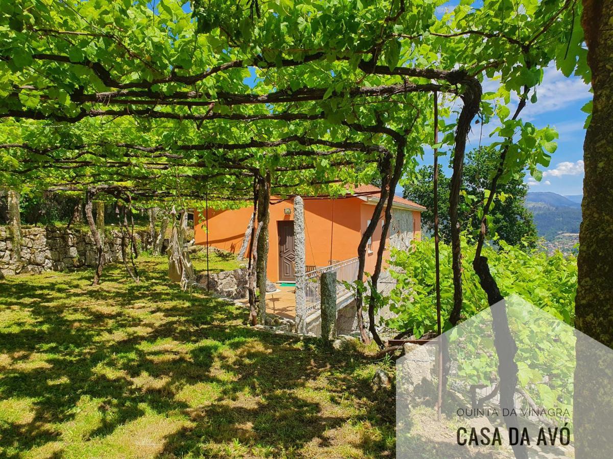 Quinta Da Vinagra Villa Tourim Bagian luar foto